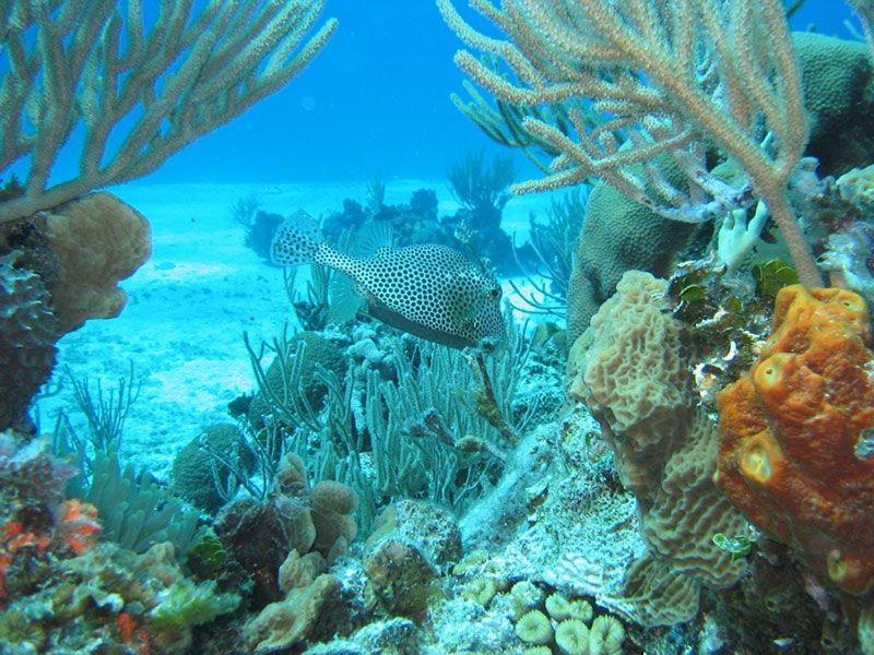 El Pisito La Dolce Vita Puerto del Carmen  Ngoại thất bức ảnh