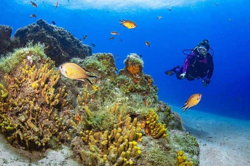 El Pisito La Dolce Vita Puerto del Carmen  Ngoại thất bức ảnh